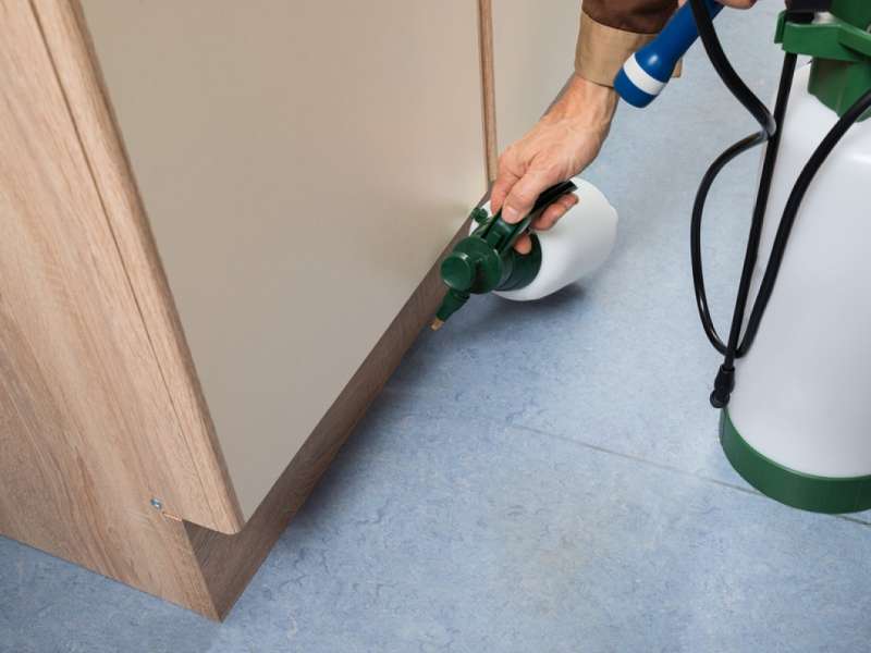 Lawn and Garden Pest Control Lawn and Garden Pest Control